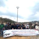 황새둥지 이미지