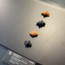 얼라서울 이미지