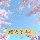 산동면 평선마을 | 그냥 동네 꽃밭인 줄...전국 3월 축제, 가보니 숨겨진 비경에 깜짝