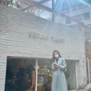 오늘룩 옷렌탈 의상대여 서비스, 에고이스트 니트 + 블루페페 트렌치코트