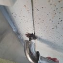 서울지향초등학교 이미지