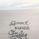 십일남매 이미지