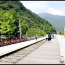 구절리역 Daum카페