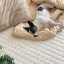 황실세탁 이미지