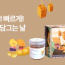 조이에듀넷