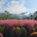 희생과 화합 이미지