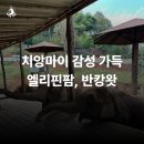 북방마을 | 치앙마이 감성 코끼리 카페 엘리핀팜, 감성 마을 반캉왓