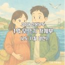 세컨즈애드 | 30대 신혼부부 1억 모으는 가계부 11월 결산