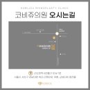 코비쥬 의원 이미지