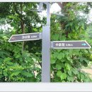 서도길 이미지