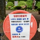 제주이야기비자림점 | 제주 동쪽 가볼만한 곳 [비자림] 비오는날 다녀온 후기(슬리퍼 필수)