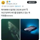 세상에서 현존하는 가장 장수하고 있는 동물 이미지