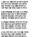 588장ㆍ 공중 나는 새를 보라 이미지