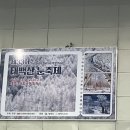 지리산칸호텔 | 강원도 정선 '민둥산' 겨울 등산 후기 (코스 1 소요시간, 초보자 등산 난이도) / '퍼시먼 관광호텔...