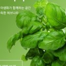나라토이 이미지