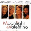 문라이트 이미지