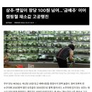 상추·깻잎이 장당 100원 넘어…‘金배추’ 이어 캠핑철 채소값 고공행진-댓글들이 황당 이미지