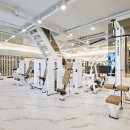 킹스바디 이미지