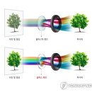 하반기 프리미엄 스마트폰 경쟁 키워드는 '카메라' 이미지