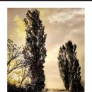 율하동 1377(서부문화센터) 이미지