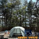 가평캠핑장★ 낭만을 위해 2시간을 달려온 선택적고립 캠핑장 고립1사이트 후기 (폴러투맨)