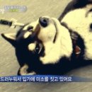 광기획 - 동구 대전로1002번길 27 | 광기획