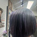 이배재로 177-6 이미지