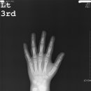 365금손약손한의원 이미지