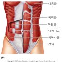 근육이름 쉽게 배우기 이미지