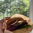 버거 비긴(burger begin)