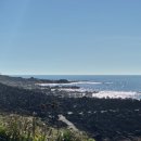 제주달로와 이미지