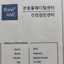 곰아저씨 동물병원 네이버블로그
