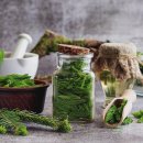 (주)그린푸드 이미지