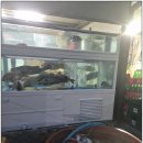 거제횟집 해림호횟집 - <<거제도 여행 중 발견한 현지인 포스 가득한 자연산 활어회 맛집 솔직 후기>>