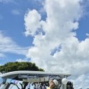 오시아노골프장 이미지