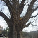 중산회관 이미지