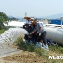 농협경제지주 종돈개량사업소 뉴시스