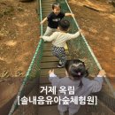 옥림 유아숲체험원 네이버블로그