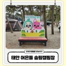 태안 어은돌 캠핑장 어은돌송림캠핑장 대형 놀이터 아이랑 가기 좋아요