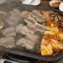 국가대표송파