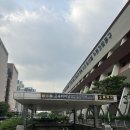 예림 | 고속터미널 꽃시장 조화부케 구매 후기 | 플레롱, 예림조화 내돈내산 비교