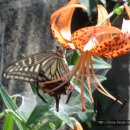 경한농장 이미지