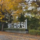 주식회사 세이브더바디 | 감동의 2025 Save Race 세이브레이스 :: 10km 완주 후기!