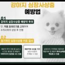 남원동물병원