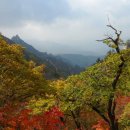 남산 Daum카페