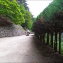 도산서원관리사무소 이미지