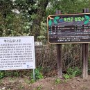 뿌리깊은수목원 네이버블로그