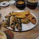 착한물고기