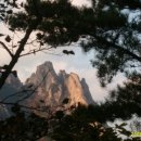 해피데이 이미지