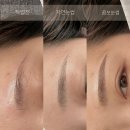 눈민정음